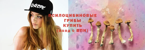 гидропоника Алзамай