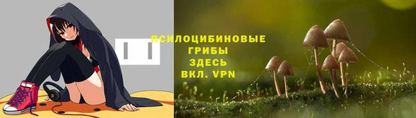 гидропоника Алзамай