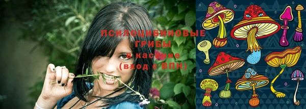гидра Алексеевка