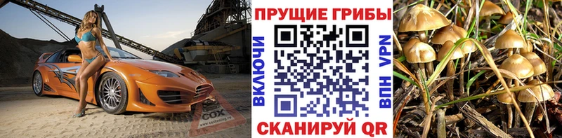 Галлюциногенные грибы мицелий  Заводоуковск 