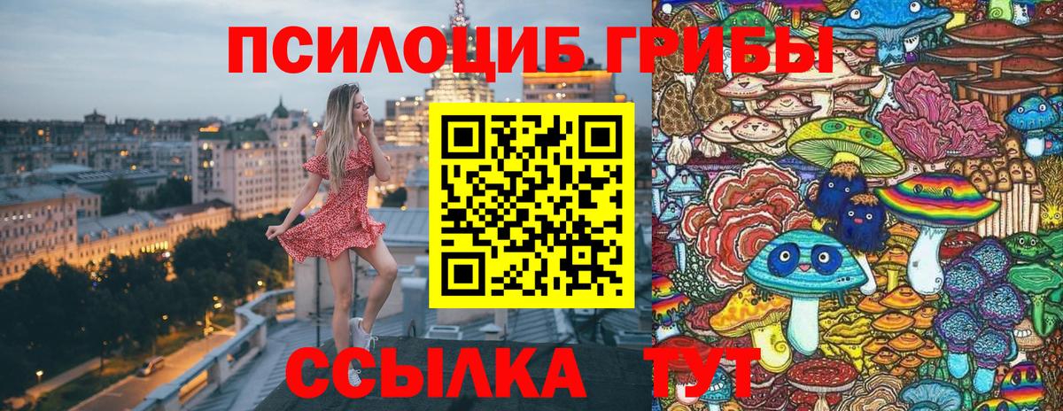 Псилоцибиновые грибы ЛСД Заводоуковск